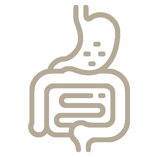 sistema-digestivo1